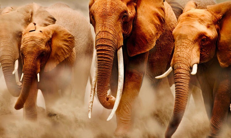 possimus-molestiae-fugit-ab-qui-nam