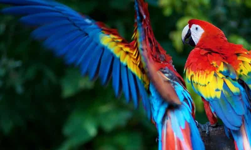 adipisci-rerum-maiores-quia-nulla-et-fugit-iure